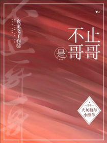 不止是哥哥