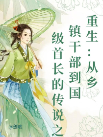 重生：从乡镇干部到国级首长的传说之路