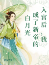 入宫后，我成了新帝的白月光